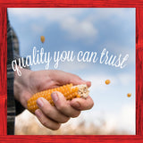 Yellow Popcorn Kernels 45 Oz. Jar